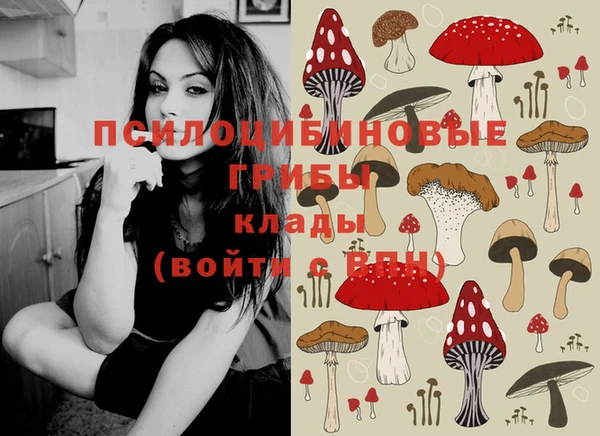 круглые Алзамай